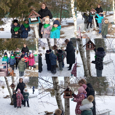 Покорми птиц зимой